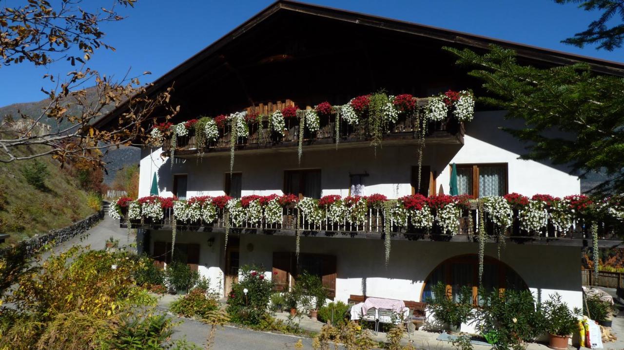 Schlosshof Zu Montani Morter Extérieur photo