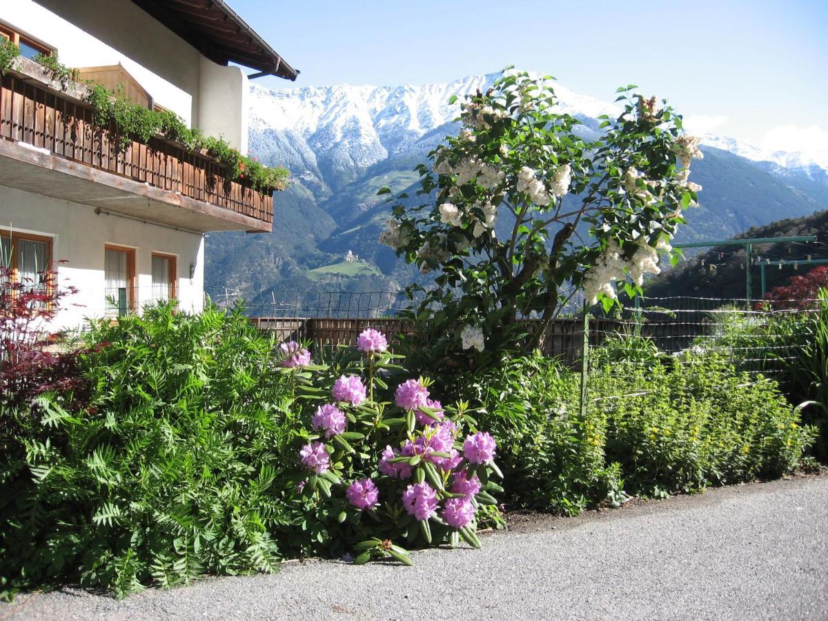 Schlosshof Zu Montani Morter Extérieur photo